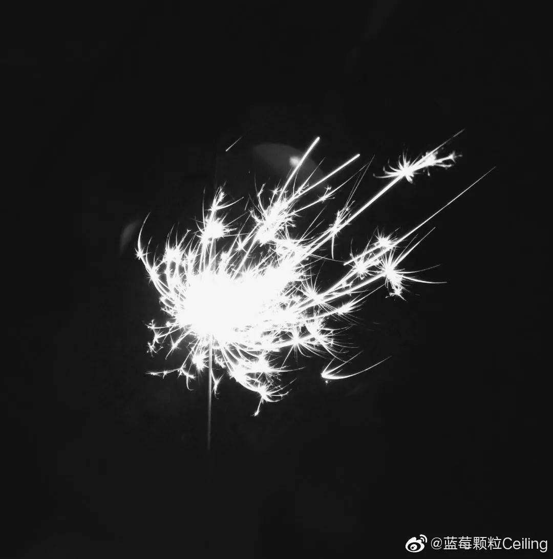 这是今年他最舍不得删的一张照片