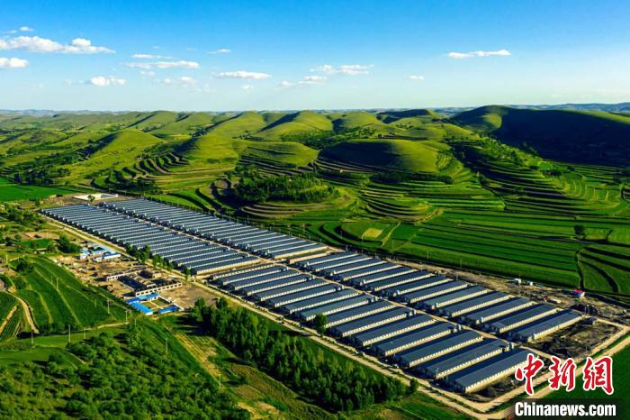 长庆采油二厂为环县车道镇双庙村支援修建的年出栏20万只育肥羊厂(资料图) 李忠斌 摄