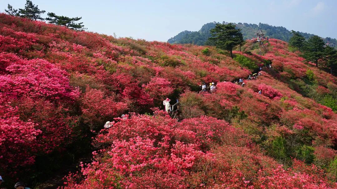 湖北400家免门票A级景区，推荐这10条精品线路值得一游