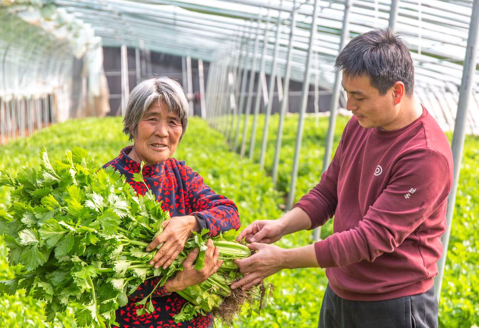 鲁山一高:“一二三四”教育扶贫计划 为贫困学子插上腾飞翅膀