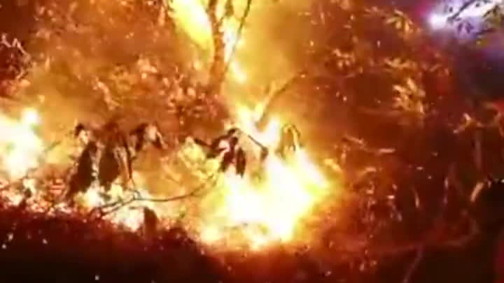 直击云南香格里拉森林大火：已烧2天，上千人分3路扑救