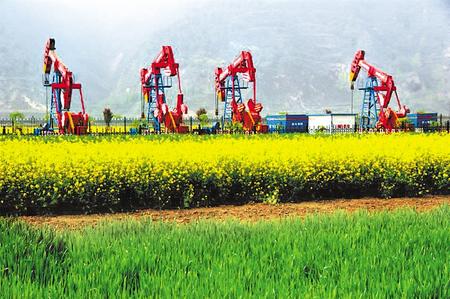 长庆油田坚持绿色发展，建成清洁文明井场8000多个。资料图