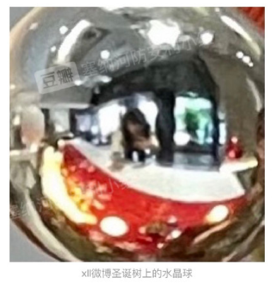 GNZ48谢蕾蕾疑似恋爱,粉丝化身福尔摩斯狂扒证据