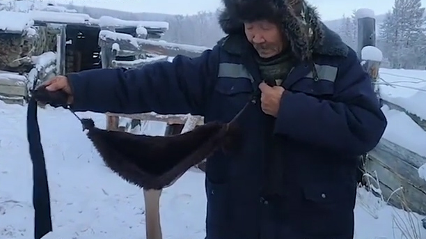 俄罗斯农民为奶牛制作文胸御寒，还是皮草的！