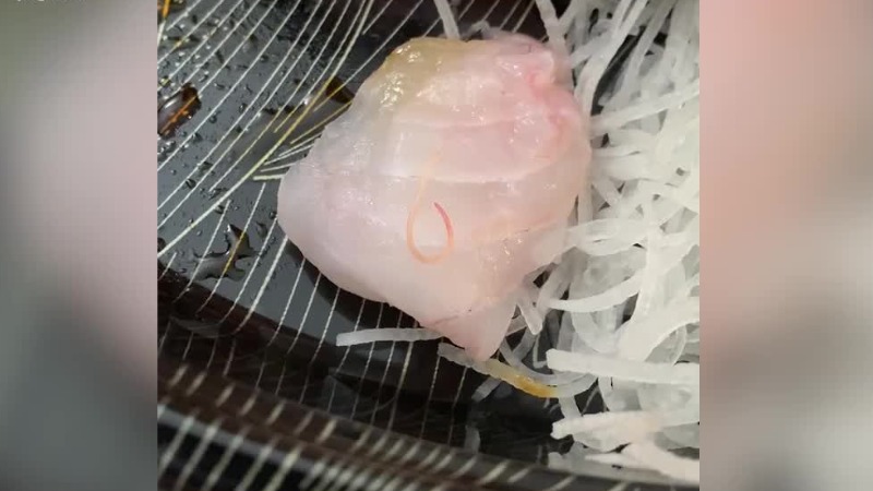 在餐厅600块买寿司 国外食客就餐时发现活寄生虫