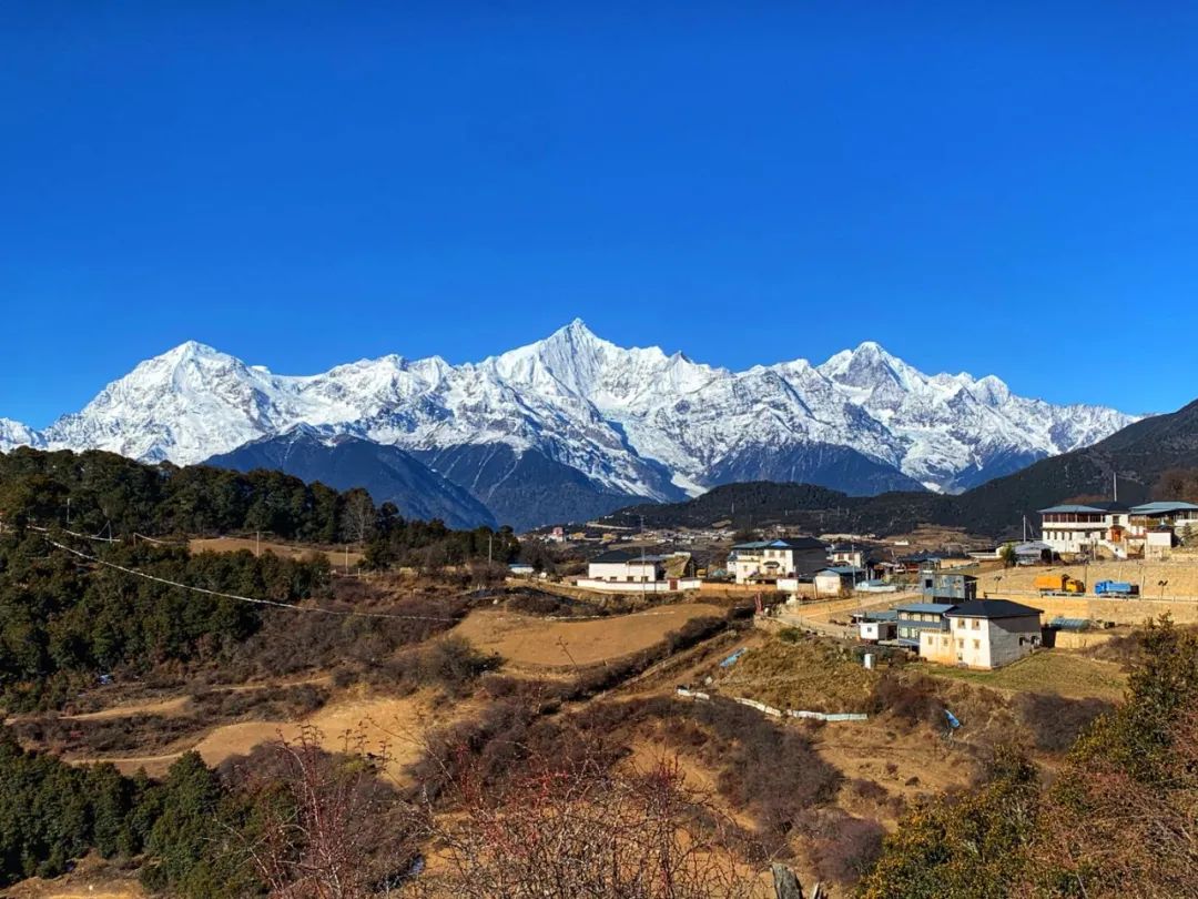 香格里拉 | 在冬日看黑頸鶴翩翩起舞 日照閃耀金山