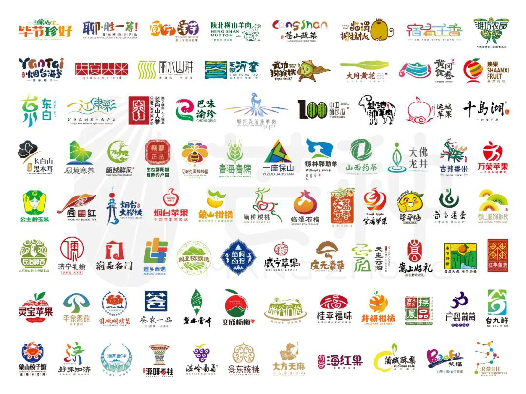 芒种农业品牌直击：“味见汉中”农产品区域公用品牌正式发布