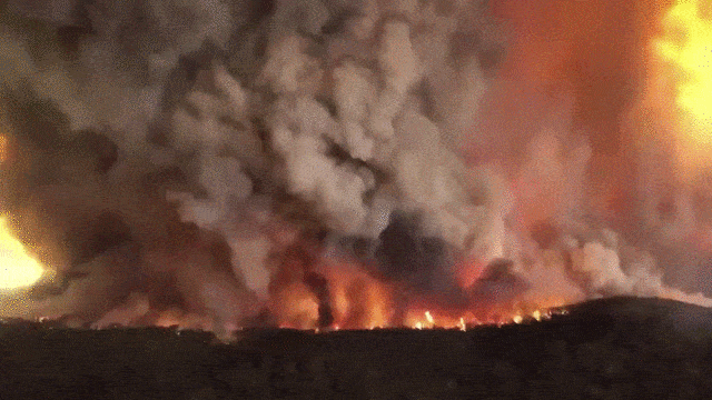 致24人死亡近5亿动物丧生 澳大利亚这场山火为何越烧越大？