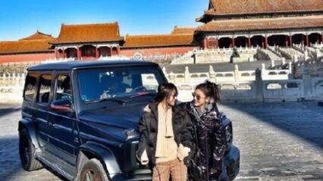 女子开车进故宫事件 故宫院长道歉分管副院长被停职