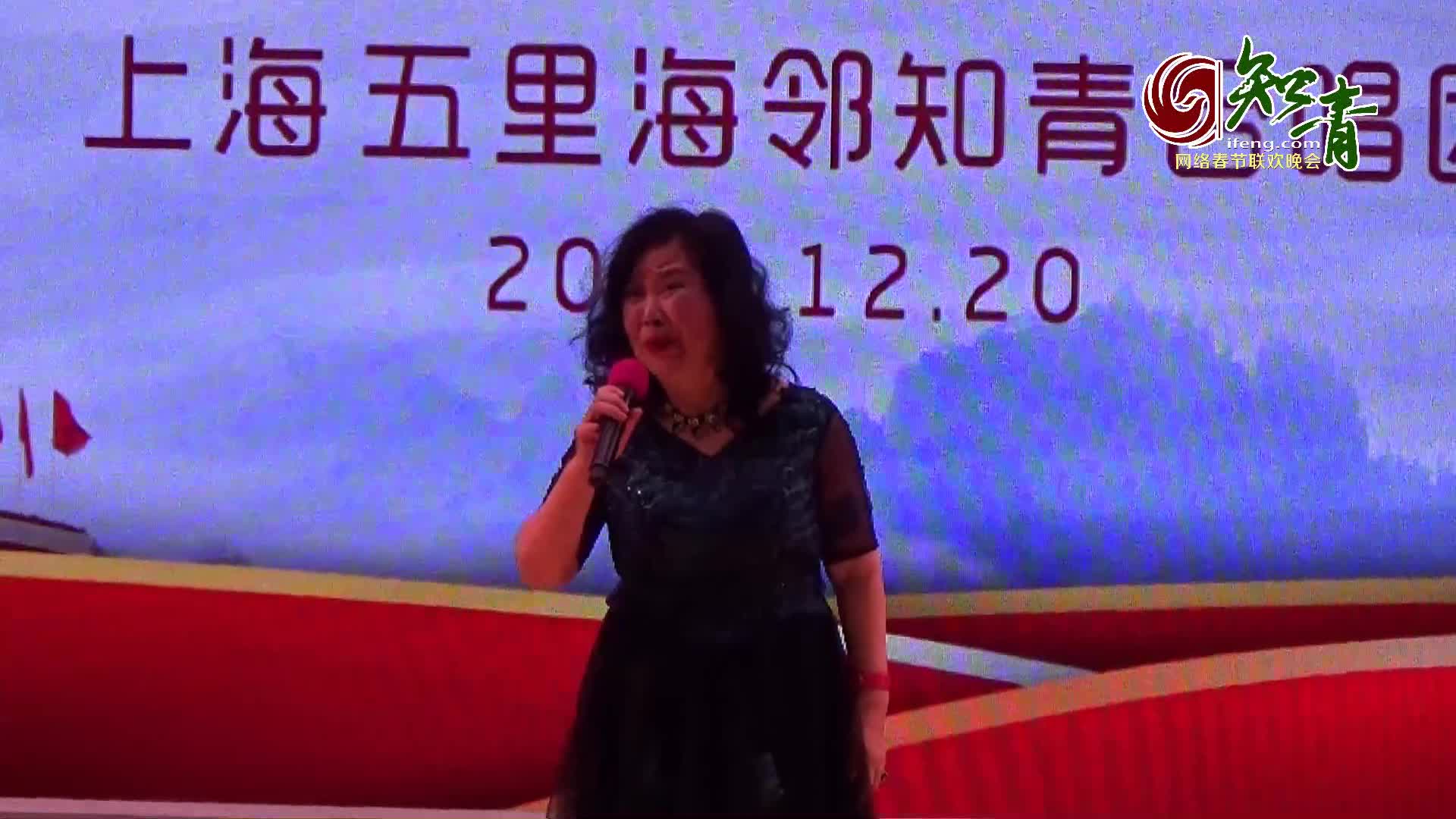 女高音独唱《我爱你中国》 