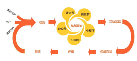 从“古典电商”到“泛电商业态”:除了直播带货你还应该了解什么