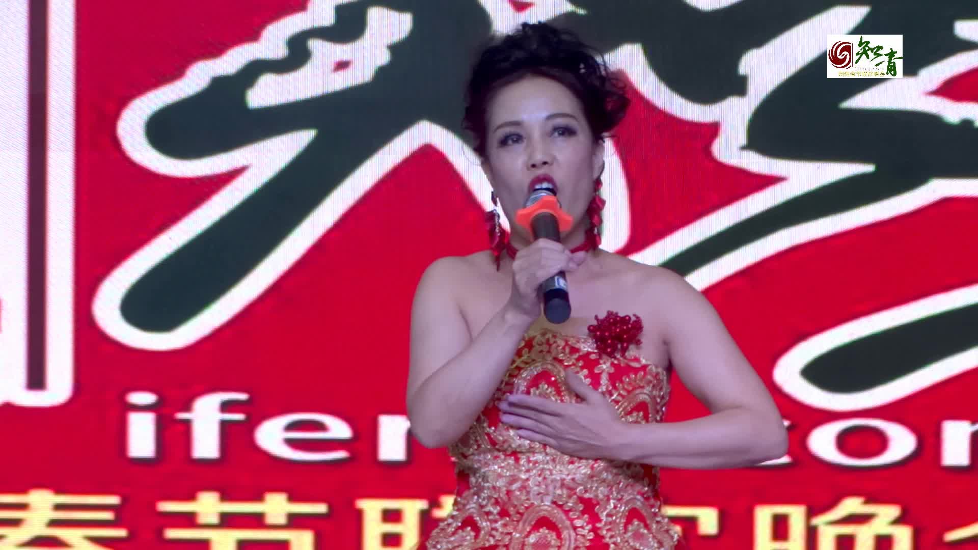 女声独唱《我爱你中国》