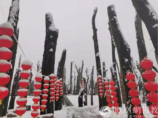 东方神木园雪景（来源：凤凰网华人佛教 摄影：桐柏山东方神木园）