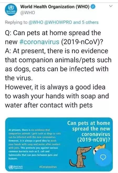 猫狗会传播新型冠状病毒吗？