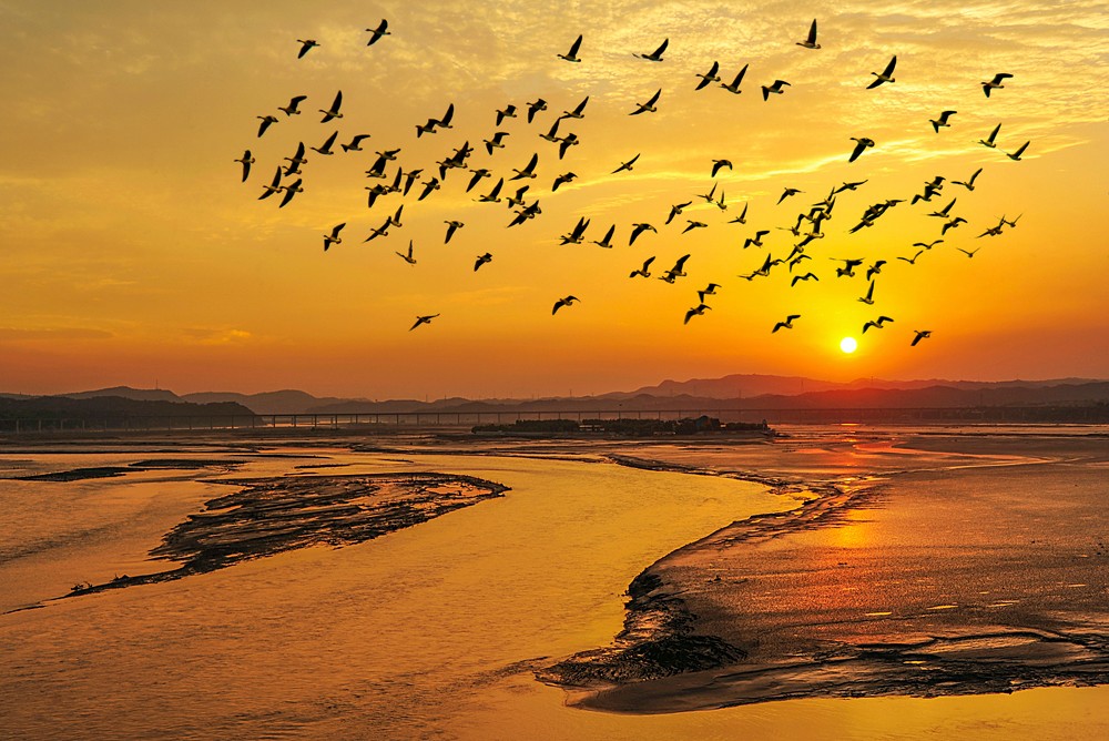 黄河之水天上来看郎朗在羊皮筏子上演绎黄河银河的完美合一