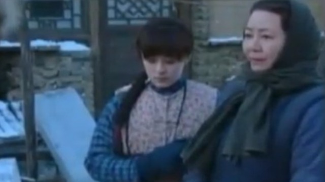 孙俪09年参演电视剧《小姨多鹤》 此剧播出后却反响平平