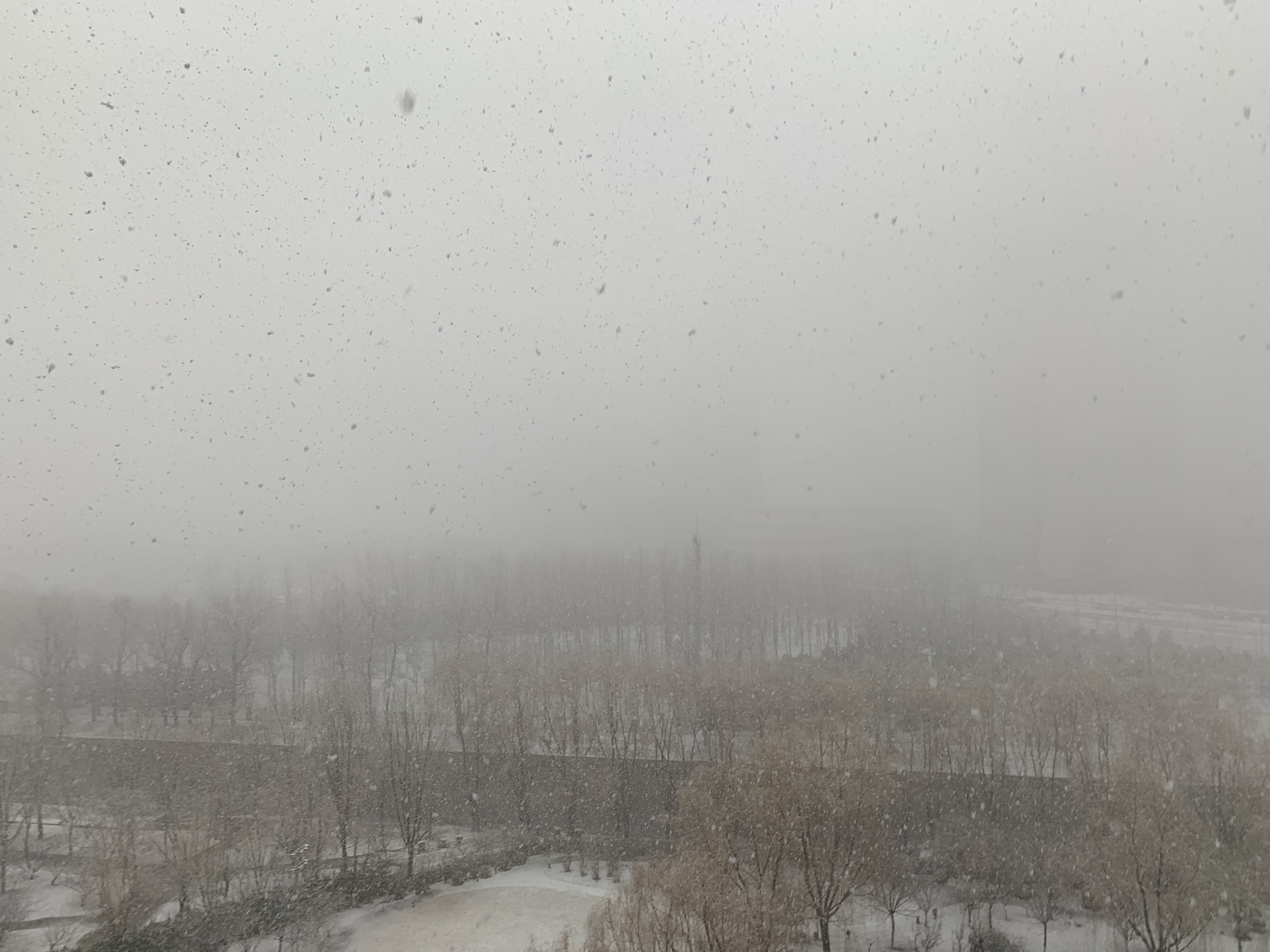 寒潮来袭，北京又下雪了(高清组图)