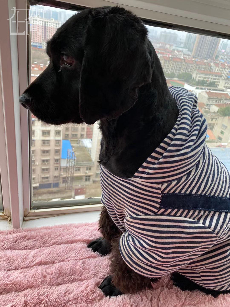 在人间| 肺炎时期的爱情:15分钟的路程,我花了15天时间