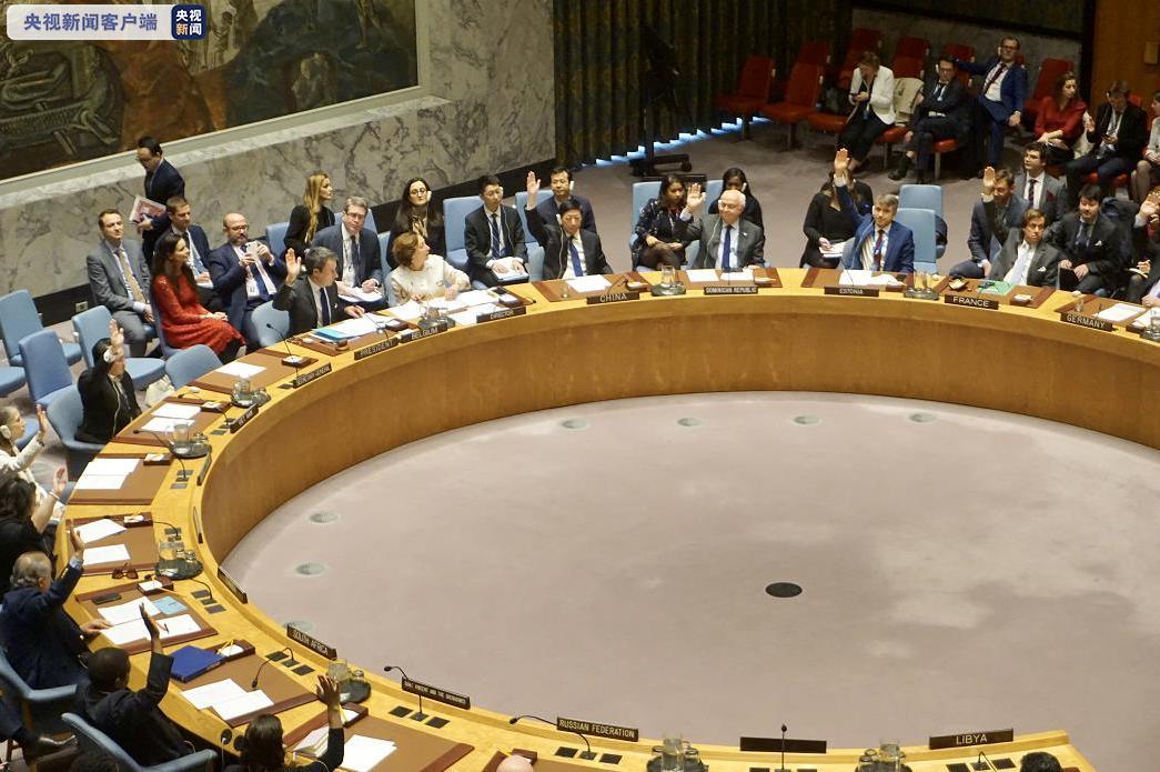 安理会通过利比亚问题草案 呼吁“可持续的停火”