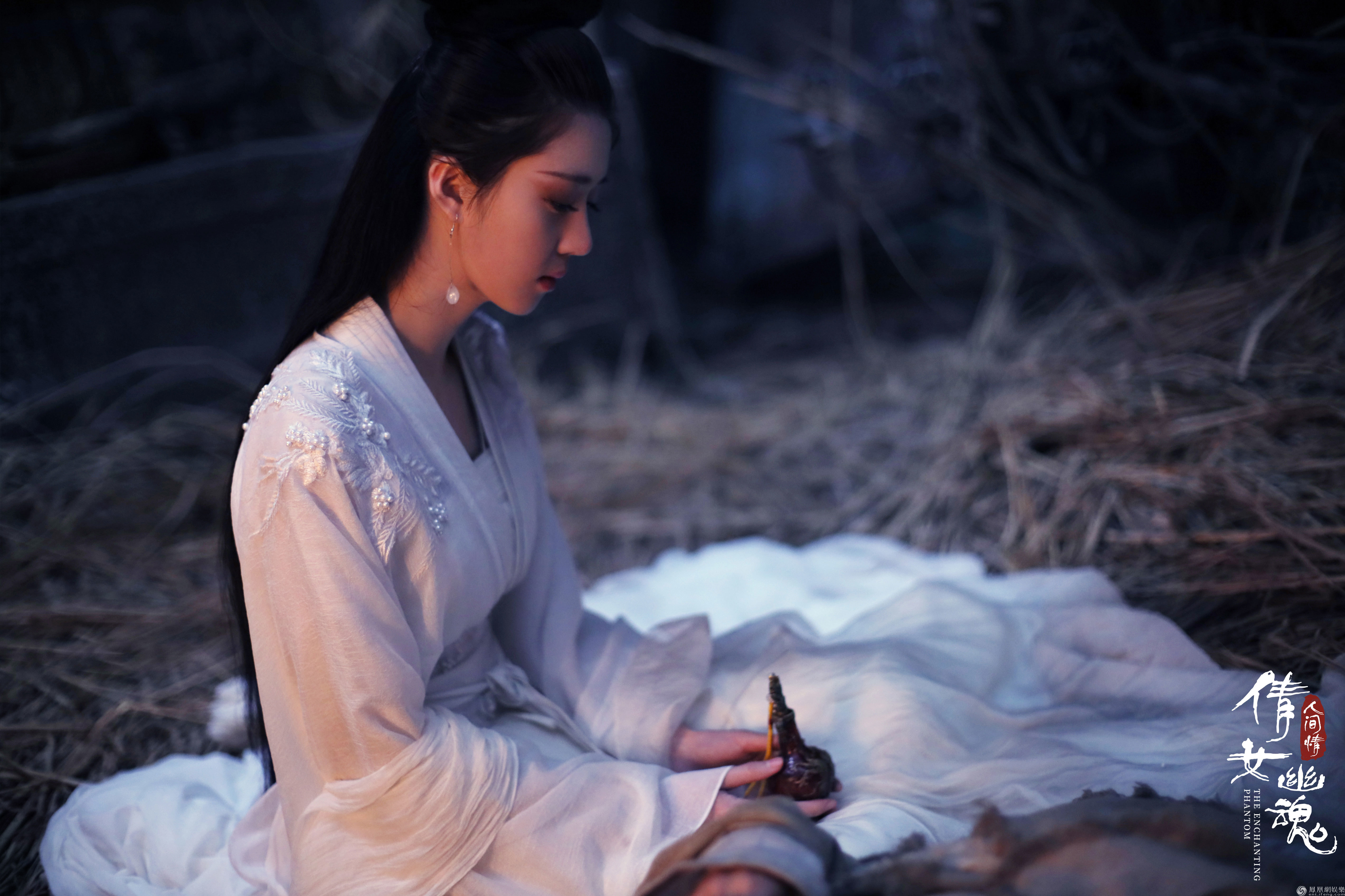Chinese ghost sex movie
