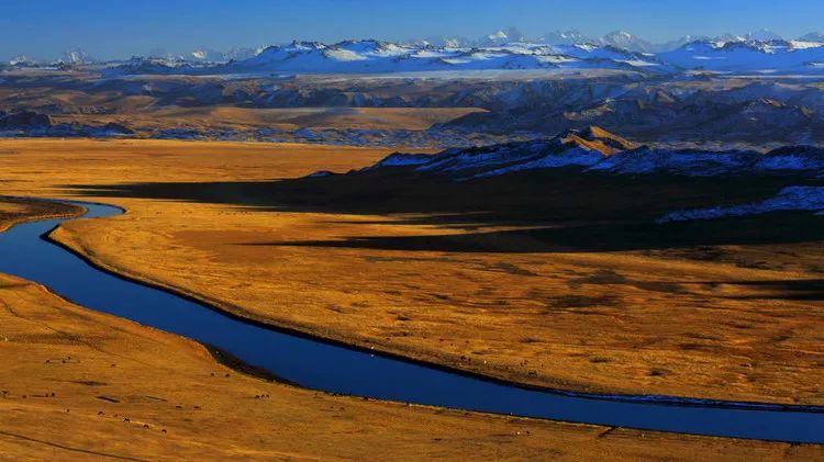 中国最大沙漠腹地 深藏绝美湖泊群