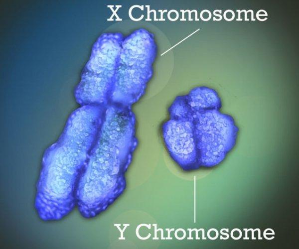XYY染色体患者与正常人的区别
