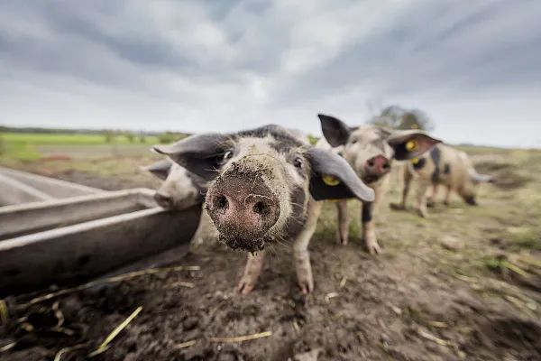 适合穷人的18个开元棋牌- 开元棋牌官方网站- 开元棋牌APP下载创业项目投资小收益大