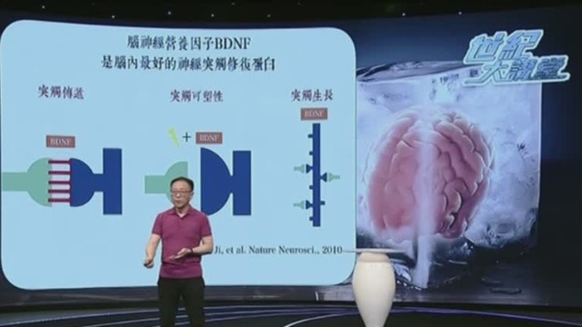 “脑源性神经营养因子”是什么？ 专家为您解答