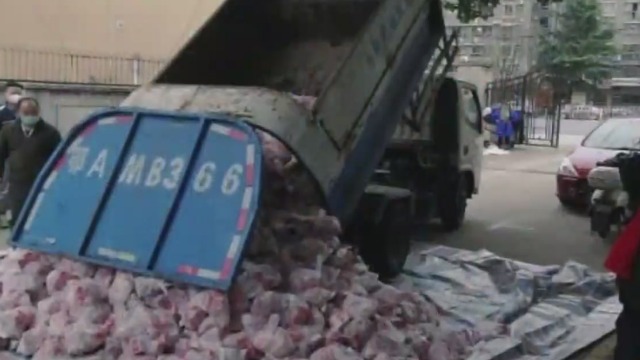 垃圾车运平价肉 武汉市纪委对涉事副区长党纪立案审查