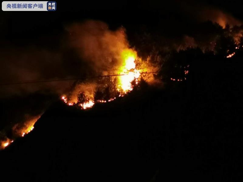 山西榆社县、五台山发生2起森林火灾 尚未得到有效控制