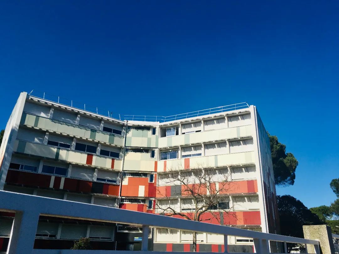 (谢金琳所在的蒙彼利埃第三大学)