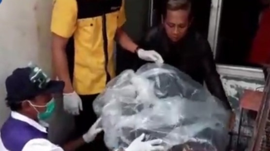 印尼梭罗动物市场发现数百只蝙蝠 当局下令全数销毁