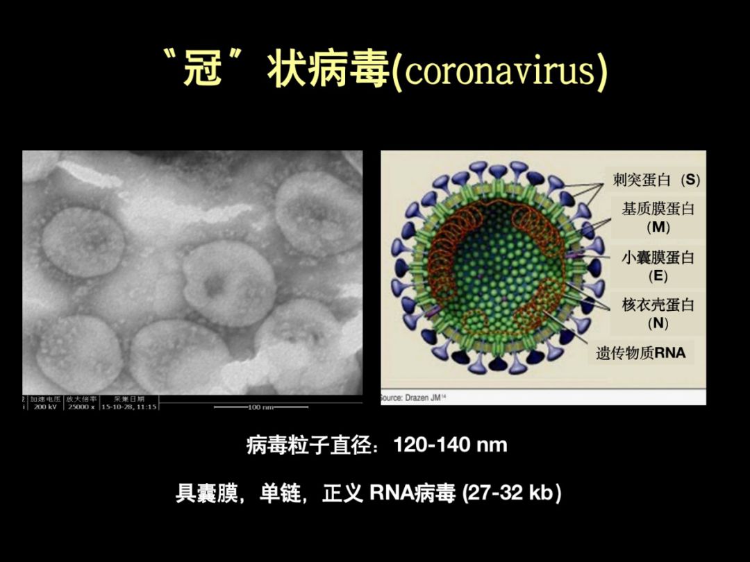 武汉病毒所石正丽：一直提醒预防，没想到疫情就发生在自己生活的城市_凤凰网