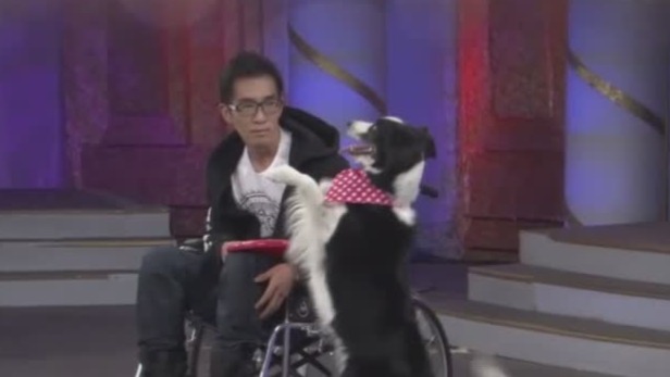 宠物犬与主人表演节目，现场观众感动落泪_凤凰网视频_凤凰网