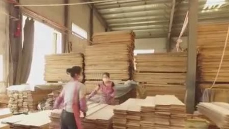 园林木业城海外布局初见成效 为中小企业搭建服务平台