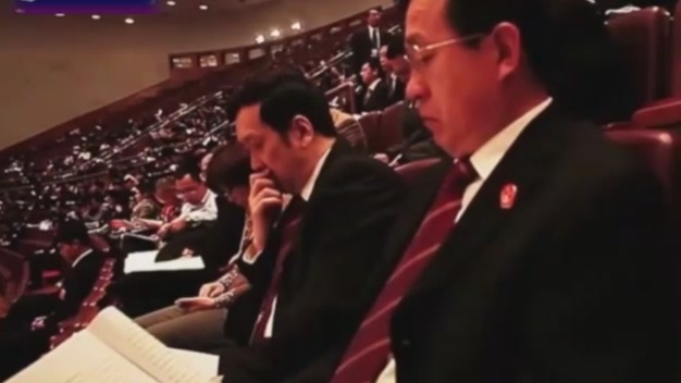 中国人大为何被称为“橡皮图章”？ 专家解答