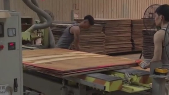 投资者在越南建立木材加工厂 “关税”是一大重要诱因