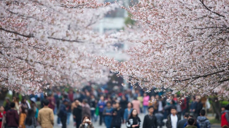 携程CEO孙洁:国内旅游业有望在暑假前恢复正常