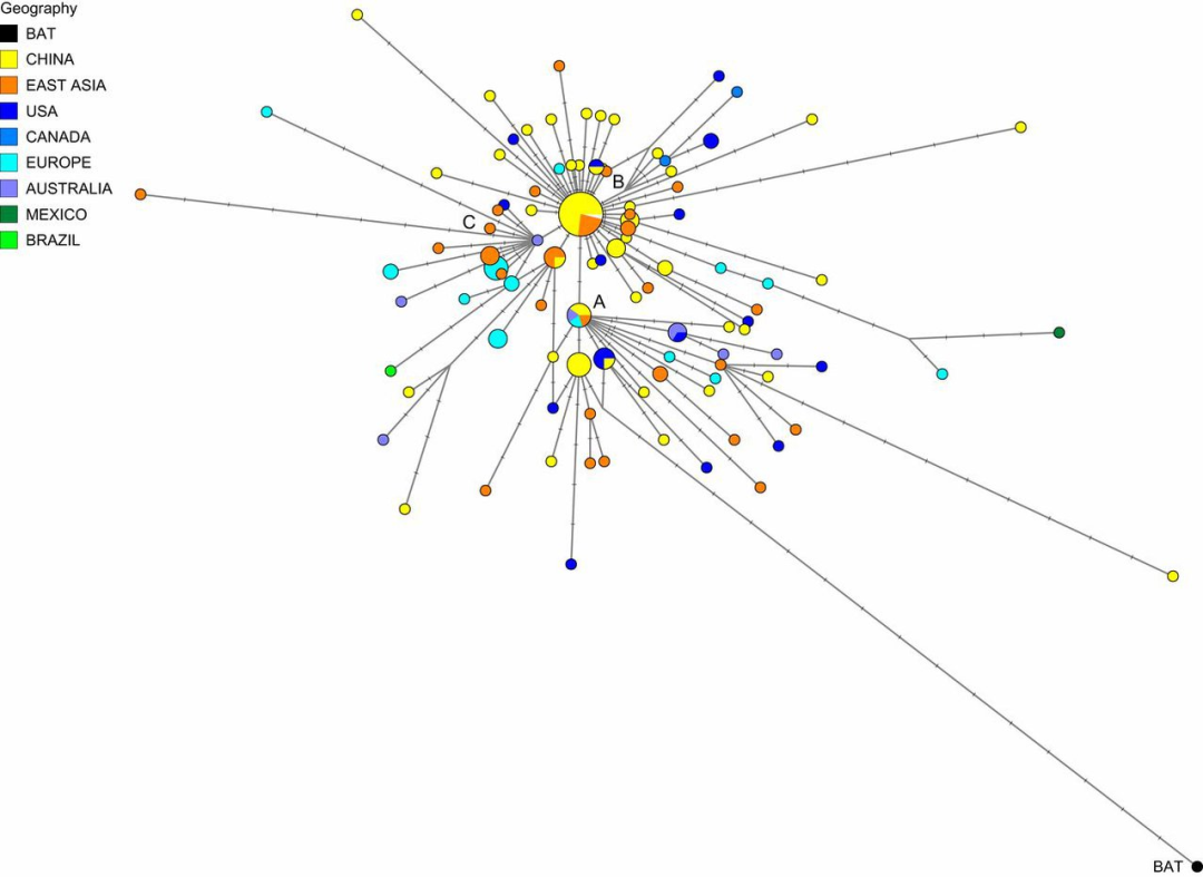 研究稱新冠病毒更早版本在美國更常見劍橋這篇論文有何結論