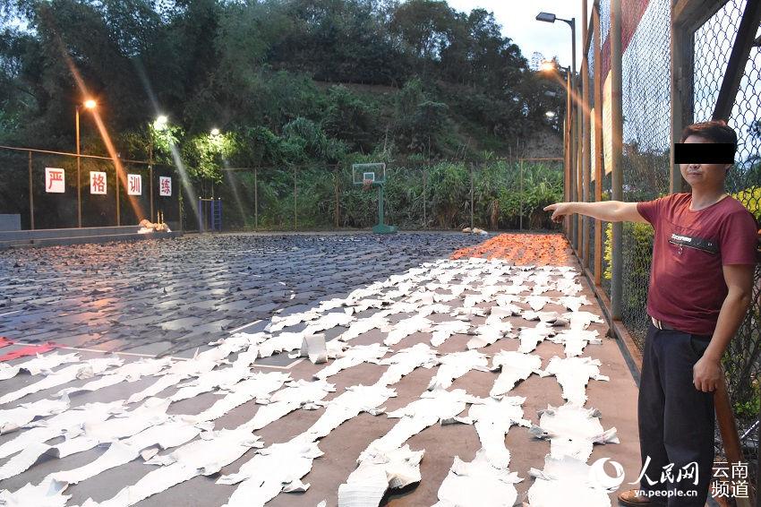 云南执勤民警查获1213张鳄鱼皮，铺满篮球场