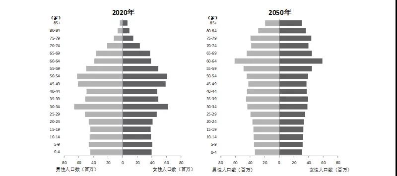 人口年龄理论_中国人口年龄结构图(3)