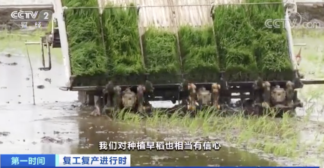 囤粮?抢米?实地探访我国粮食主产区,今年创了一个之最_凤凰网财经_凤凰网