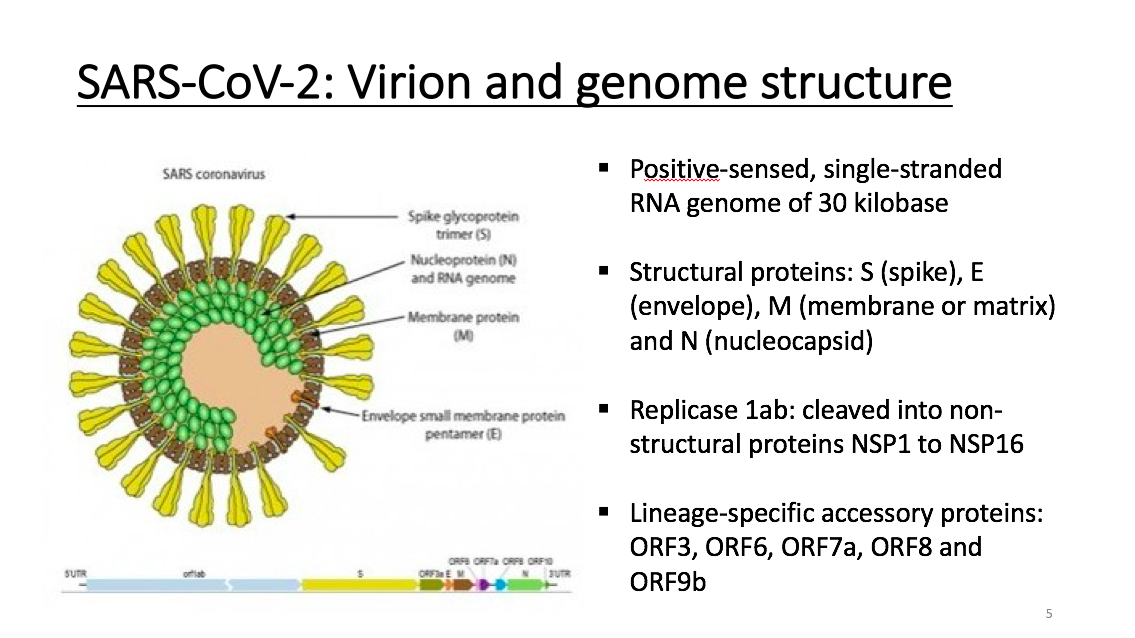 什么是基因编码 C84AE3B8EC89733F79732856E708D040A95917B6_w1135_h638.png