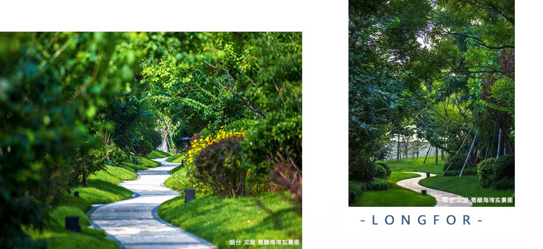 龙湖品牌之五维景观|从五重到五维,龙湖对园林的追求从未止步