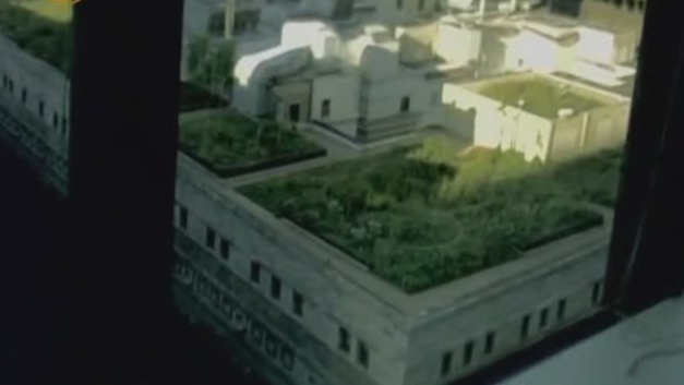 绿色屋顶解决了城市的热岛效应 空气质量也大大提升