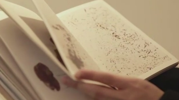 朱赢椿：《虫子书》不受欢迎 它是第一本不是人写的书