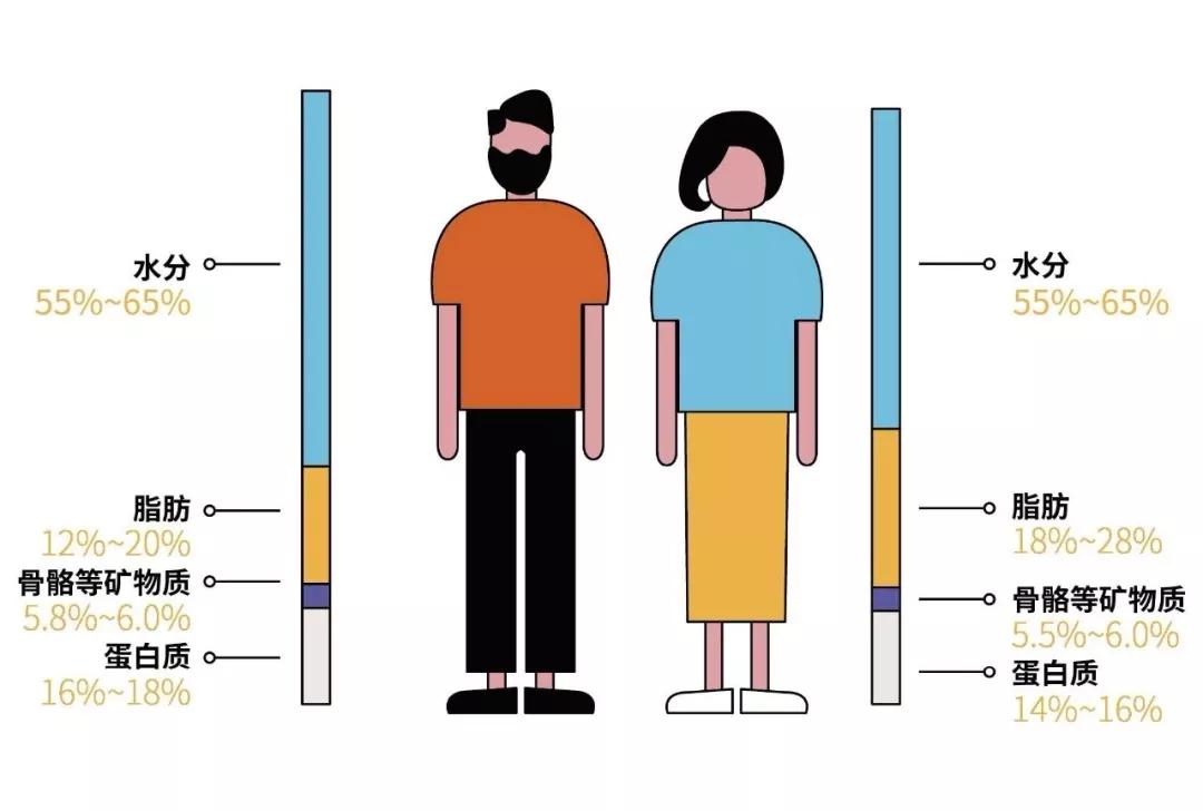 女明星减肥 斗狠 排名 马思纯 郑爽 颖儿 凤凰网