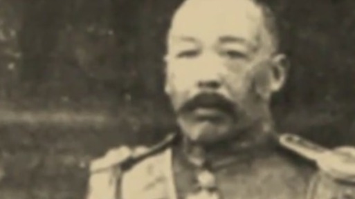 蔡元培劝说政府释放被捕学生 北洋政府把他视为眼中钉