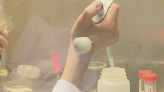 科学家林敏：转基因技术可以更快的培育出优良品种