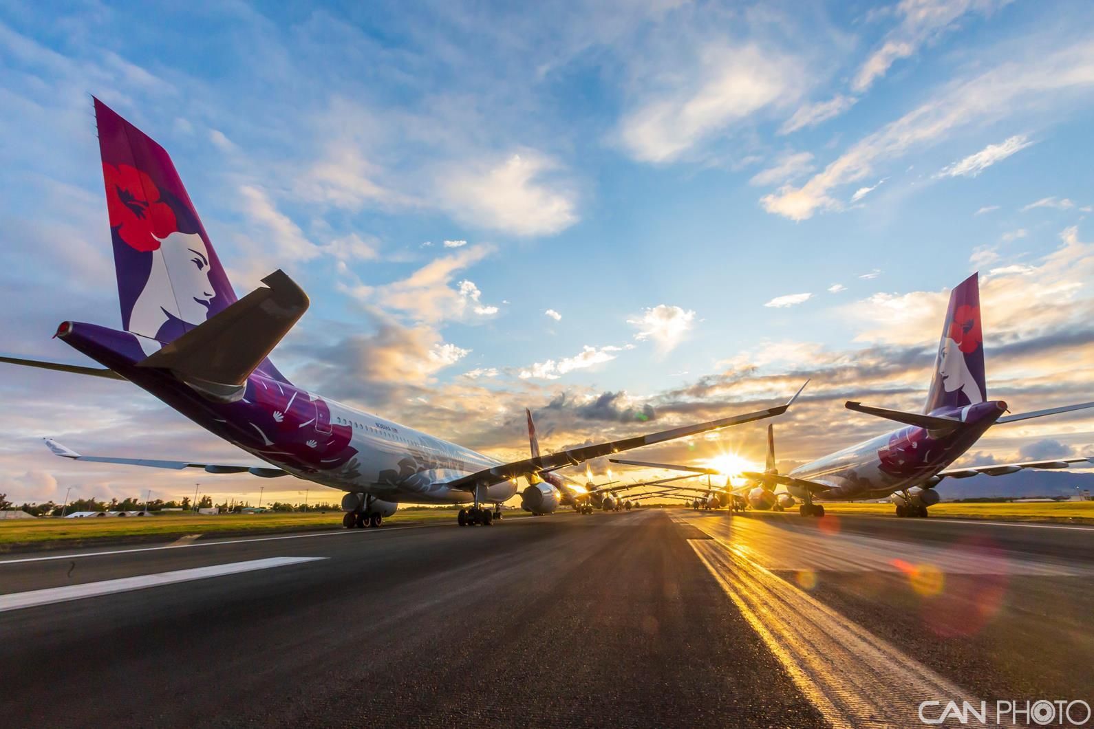 全球大批商用飞机停飞 场面"蔚为壮观"